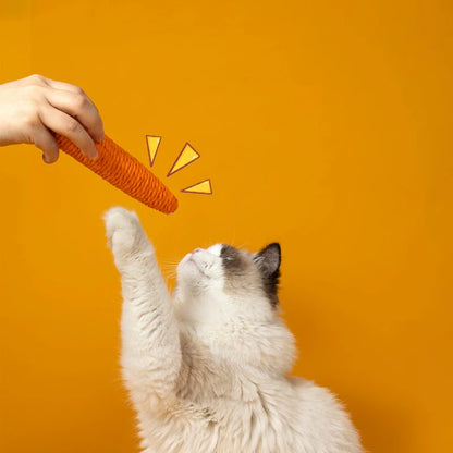Crunchy Carrot™ Cat Toy